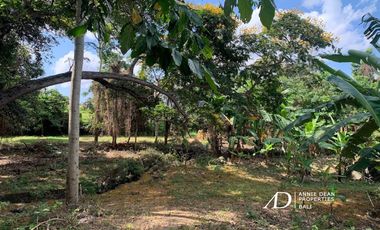 FREEHOLD AND LEASEHOLD LAND IN CANGGU ( 25.7 ARE )