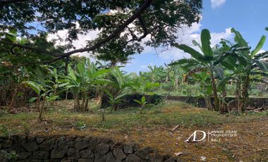 FREEHOLD AND LEASEHOLD LAND IN CANGGU ( 25.7 ARE )