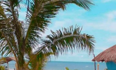ZAMBALES BEACH RESORT FOR SALE! 3,000sqm only 45M