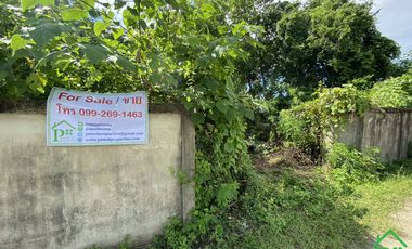 A Nice plot of Land for sale in San Kamphaeng