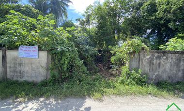 A Nice plot of Land for sale in San Kamphaeng