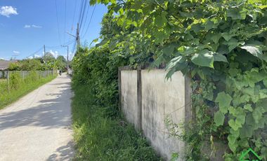 A Nice plot of Land for sale in San Kamphaeng