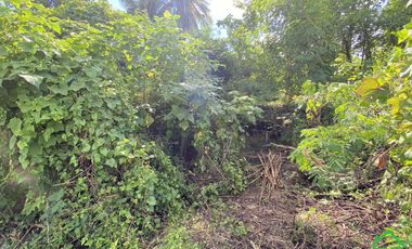 A Nice plot of Land for sale in San Kamphaeng