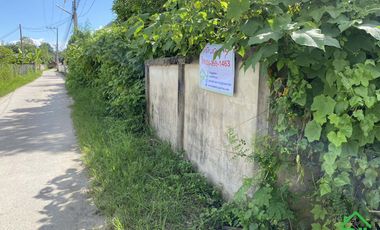 A Nice plot of Land for sale in San Kamphaeng
