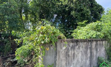 A Nice plot of Land for sale in San Kamphaeng