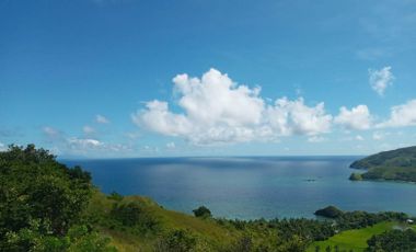 20 Hectares Tilted Land Parcels situated in Brgy. Danao Norte, Municipality of Santa Fe, Province of Romblon, Philippines