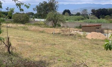 terreno a un lado del club de golf san Agustín Etla