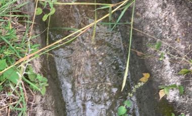 terreno a un lado del club de golf san Agustín Etla