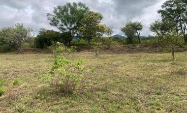 terreno a un lado del club de golf san Agustín Etla