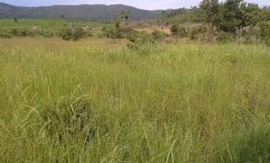 FOR SALE Residential Lot in San Nicolas Coron