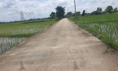 Empty land for sale, size 1 rai 294.5 sq wa, main road, Mae Kham Subdistrict, Mae Chan District, Chiang Rai.