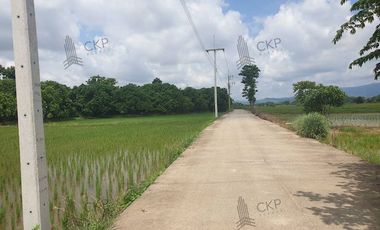 Empty land for sale, size 1 rai 294.5 sq wa, main road, Mae Kham Subdistrict, Mae Chan District, Chiang Rai.