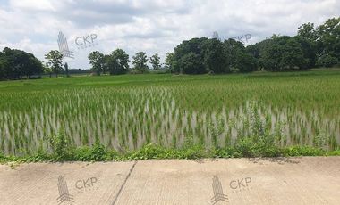 Empty land for sale, size 1 rai 294.5 sq wa, main road, Mae Kham Subdistrict, Mae Chan District, Chiang Rai.