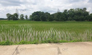 Empty land for sale, size 1 rai 294.5 sq wa, main road, Mae Kham Subdistrict, Mae Chan District, Chiang Rai.