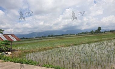 Empty land for sale, size 1 rai 294.5 sq wa, main road, Mae Kham Subdistrict, Mae Chan District, Chiang Rai.
