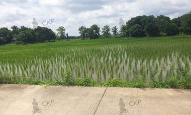 Empty land for sale, size 1 rai 294.5 sq wa, main road, Mae Kham Subdistrict, Mae Chan District, Chiang Rai.