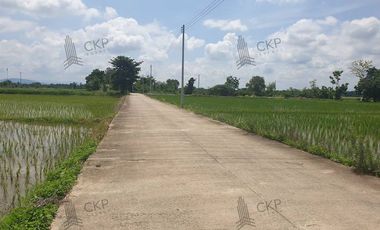 Empty land for sale, size 1 rai 294.5 sq wa, main road, Mae Kham Subdistrict, Mae Chan District, Chiang Rai.