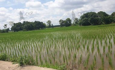 Empty land for sale, size 1 rai 294.5 sq wa, main road, Mae Kham Subdistrict, Mae Chan District, Chiang Rai.