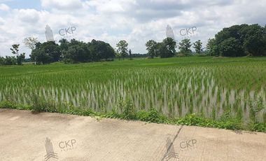 Empty land for sale, size 1 rai 294.5 sq wa, main road, Mae Kham Subdistrict, Mae Chan District, Chiang Rai.