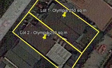 OLYMPIA MAKATI CITY VACANT LOT @ 250 SQM NEAR AYALA CIRCUIT
