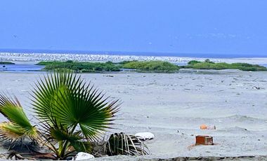 TERRENO EN PRIMERA FILA 188 M2 playa Chilca