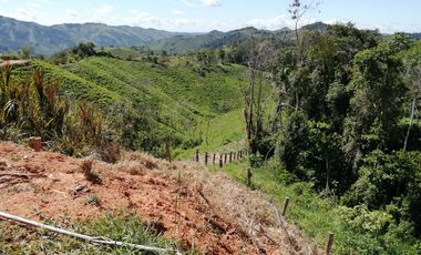 Venta Finca Ganadera y Agrícola San Roque Antioquia
