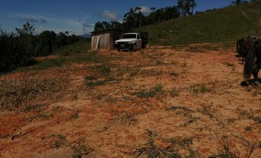 Venta Finca Ganadera y Agrícola San Roque Antioquia