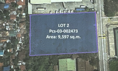 LOT FOR SALE - Luisita Industrial Park, Tarlac City