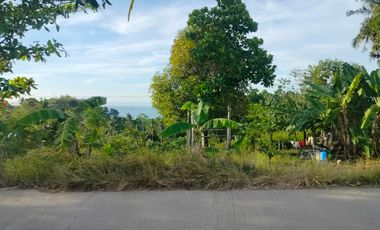 Overlooking seaview lot for sale 1,544 sqm clean title near highway Tubigon Bohol 3,500/sqm negotiable