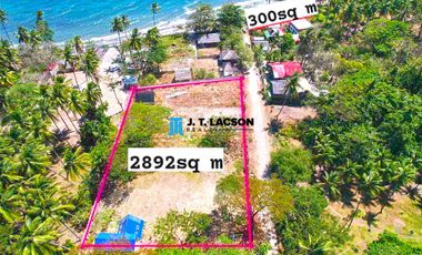 🌴 Lot for Sale with a Seaside Touch in Zamboanguita! 🏝️