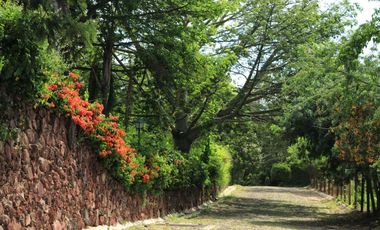 Terrenos en Venta en TRES CAÑADAS, Ajijic