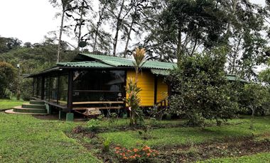 Venta Hacienda Ganadera Gualéa - Pacto en San Luis Alto Vía Calacalí 205 Hectáreas $1'100.000