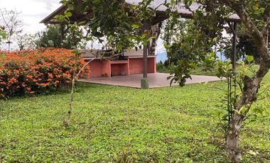 Venta Hacienda Ganadera Gualéa - Pacto en San Luis Alto Vía Calacalí 205 Hectáreas $1'100.000