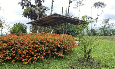 Venta Hacienda Ganadera Gualéa - Pacto en San Luis Alto Vía Calacalí 205 Hectáreas $1'100.000