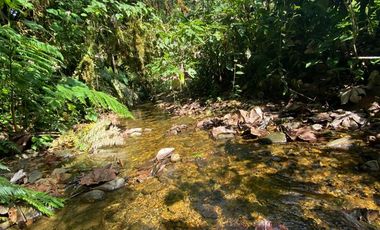 Venta Hacienda Ganadera Gualéa - Pacto en San Luis Alto Vía Calacalí 205 Hectáreas $1'100.000