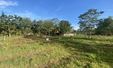 Lot For Sale in Pamuringao-Garrido Bacan Cabatuan Iloilo near Airport