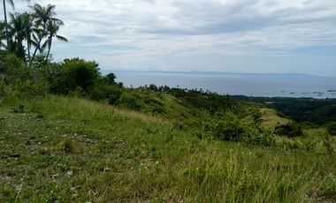 Straight Monthly Payment Pre-Selling 120 Sqm Lot for Sale in Pitalo, San Fernando, Cebu