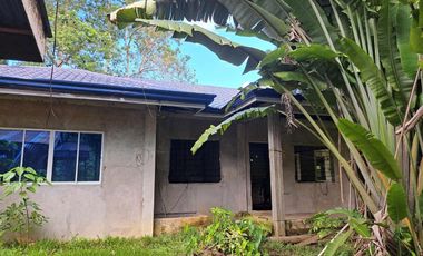 Rush Sale! 2 House and Lot For Sale in Dauis Bohol / BOHOLANA REALTY