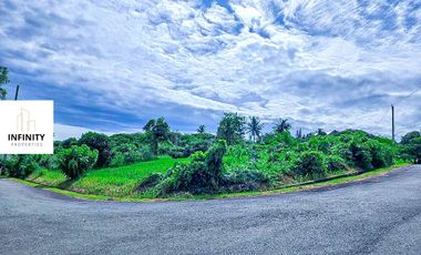 FOR SALE LOT IN TAGAYTAY PLATATION HILLS