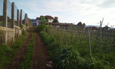 7000 M2 Tanah Kebun View Bagus, Bonus Villa, Pakuhaji, Bandung Barat.