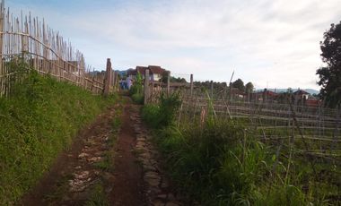 7000 M2 Tanah Kebun View Bagus, Bonus Villa, Pakuhaji, Bandung Barat.