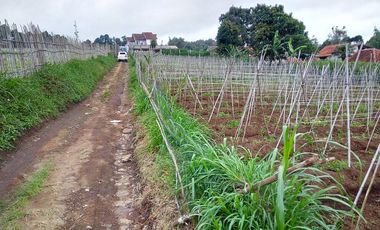 7000 M2 Tanah Kebun View Bagus, Bonus Villa, Pakuhaji, Bandung Barat.