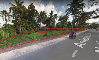 3,078sqm Commercial Lot for Sale in Balamban