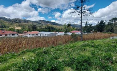 Vendo espectacular propiedad en Zhullin sector bodegas de colineal, Universidad UNAE