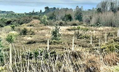 TERRENO INDUSTRIAL, 10 hectáreas, TRAPEN, PTO MONTT