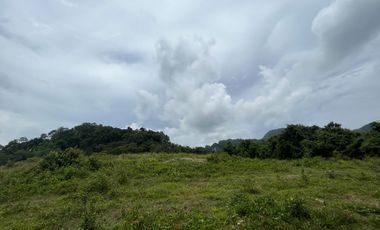 7 Rai of Gloden land with a full mountain view in the heart of Ao Nang, Krabi