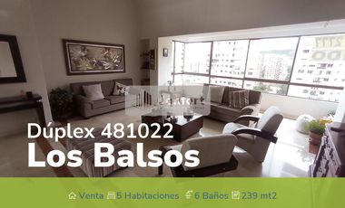 CASA DÚPLEX EN LOS BALSOS 481022