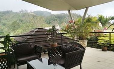 SD HOME 1517