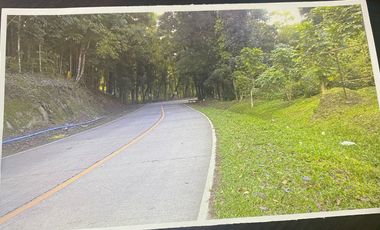 Lot For Sale in Poblacion, Sagbayan, Bohol. Along the National Hi-way with Title.