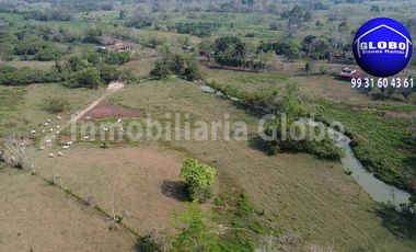 Rancho ganadero en venta, 250 hectáreas, Ría. Caparroso en Macuspana, Tabasco.